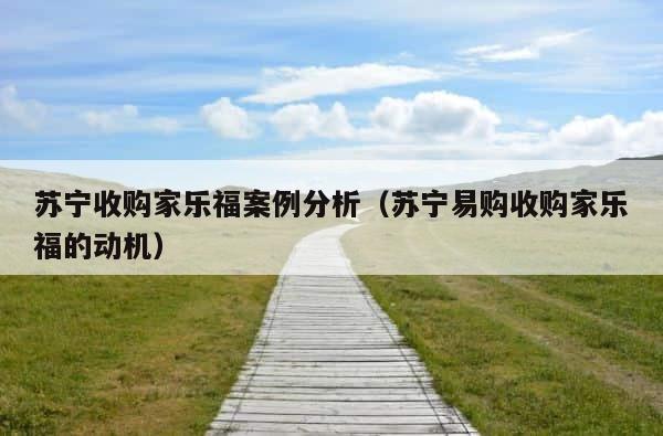 苏宁收购家乐福案例分析（苏宁易购收购家乐福的动机） 第1张