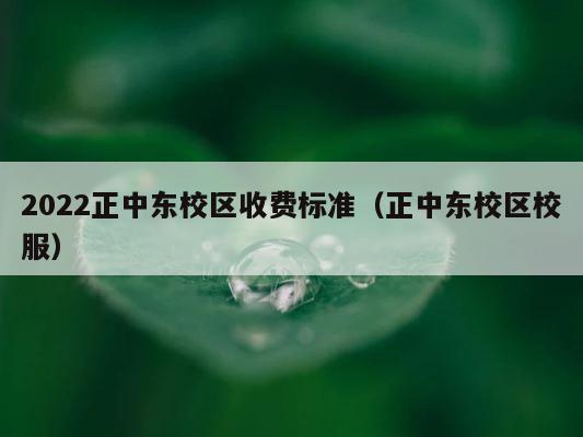 2022正中东校区收费标准（正中东校区校服） 第1张