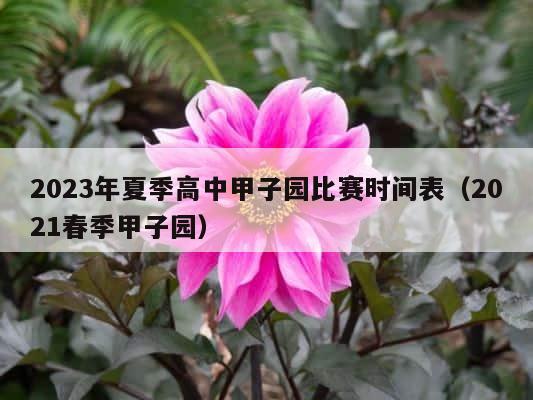 2023年夏季高中甲子园比赛时间表（2021春季甲子园） 第1张