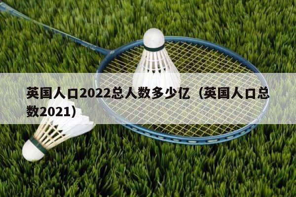 英国人口2022总人数多少亿（英国人口总数2021） 第1张