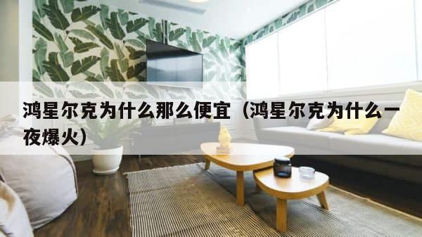 鸿星尔克为什么那么便宜（鸿星尔克为什么一夜爆火） 第1张