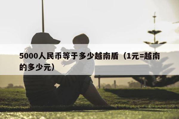 5000人民币等于多少越南盾（1元=越南的多少元） 第1张