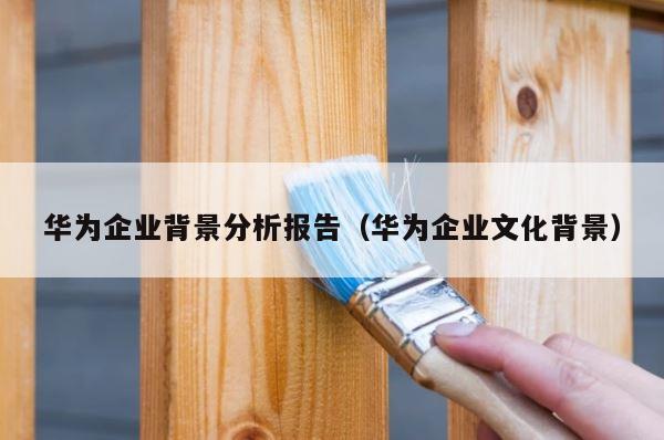 华为企业背景分析报告（华为企业文化背景） 第1张