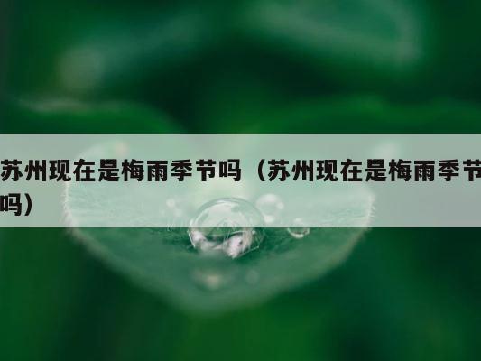 苏州现在是梅雨季节吗（苏州现在是梅雨季节吗） 第1张