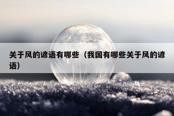 关于风的谚语有哪些（我国有哪些关于风的谚语） 第1张
