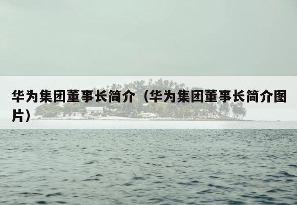 华为集团董事长简介（华为集团董事长简介图片） 第1张