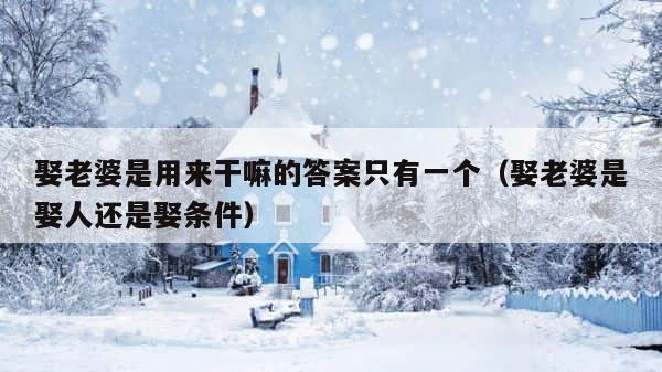 娶老婆是用来干嘛的答案只有一个（娶老婆是娶人还是娶条件） 第1张