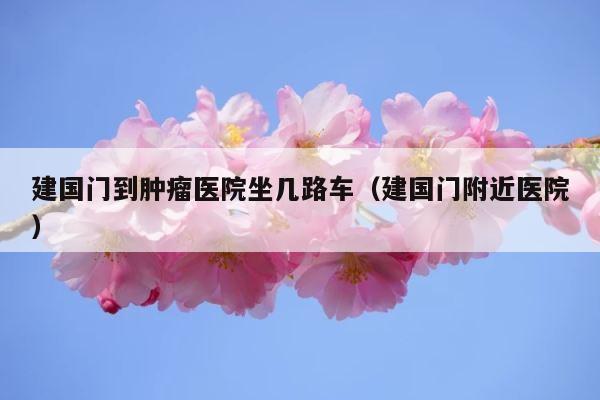 建国门到肿瘤医院坐几路车（建国门附近医院） 第1张