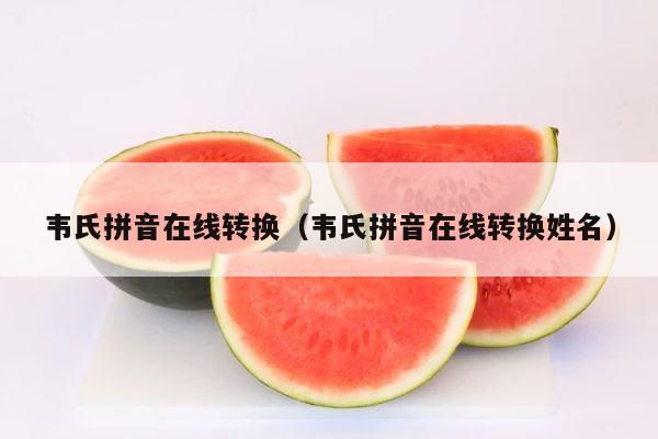韦氏拼音在线转换（韦氏拼音在线转换姓名） 第1张
