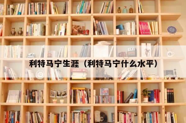 利特马宁生涯（利特马宁什么水平） 第1张
