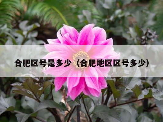 合肥区号是多少（合肥地区区号多少） 第1张