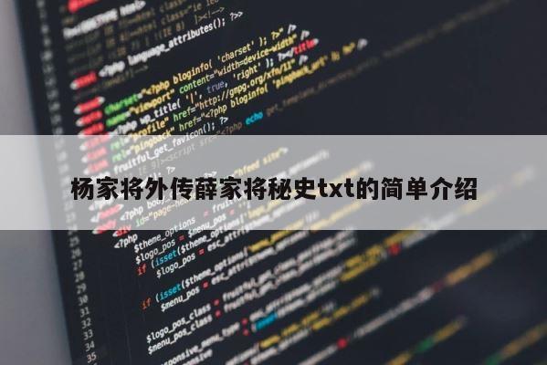 杨家将外传薛家将秘史txt的简单介绍 第1张