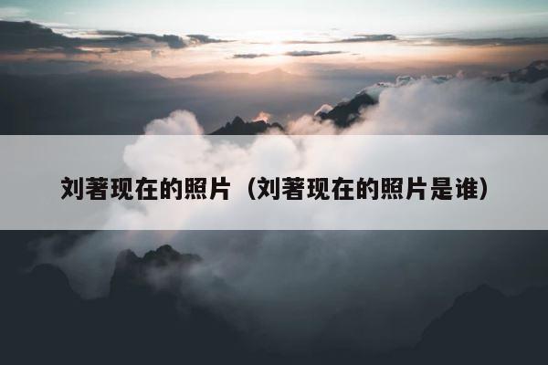 刘著现在的照片（刘著现在的照片是谁） 第1张