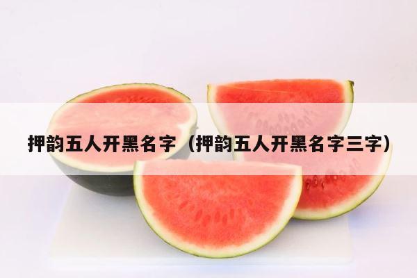 押韵五人开黑名字（押韵五人开黑名字三字） 第1张