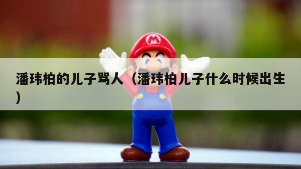 潘玮柏的儿子骂人（潘玮柏儿子什么时候出生） 第1张