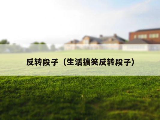 反转段子（生活搞笑反转段子） 第1张