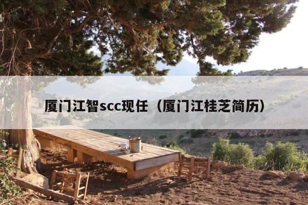 厦门江智scc现任（厦门江桂芝简历） 第1张