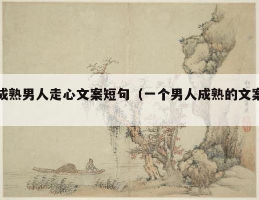 成熟男人走心文案短句（一个男人成熟的文案） 第1张
