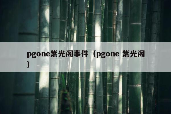 pgone紫光阁事件（pgone 紫光阁） 第1张