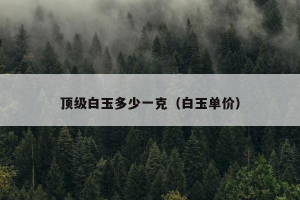 顶级白玉多少一克（白玉单价） 第1张