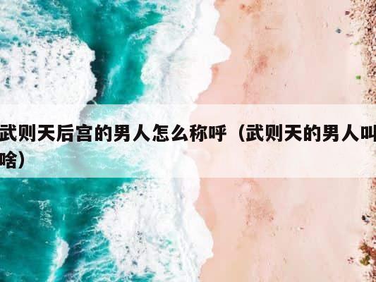 武则天后宫的男人怎么称呼（武则天的男人叫啥） 第1张