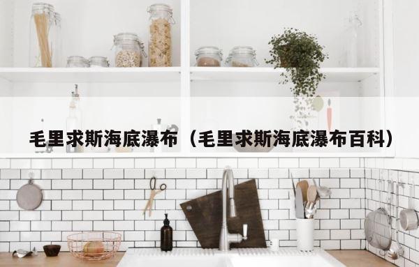 毛里求斯海底瀑布（毛里求斯海底瀑布百科） 第1张