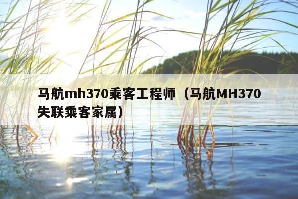 马航mh370乘客工程师（马航MH370失联乘客家属） 第1张