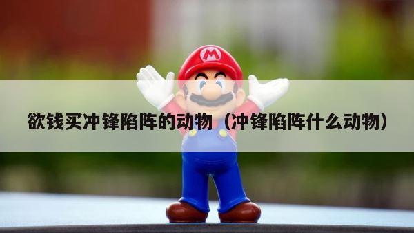 欲钱买冲锋陷阵的动物（冲锋陷阵什么动物） 第1张