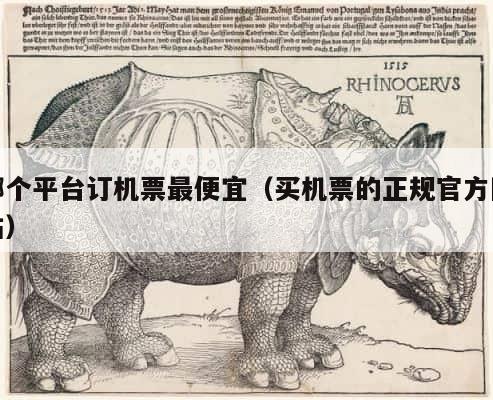 哪个平台订机票最便宜（买机票的正规官方网站） 第1张