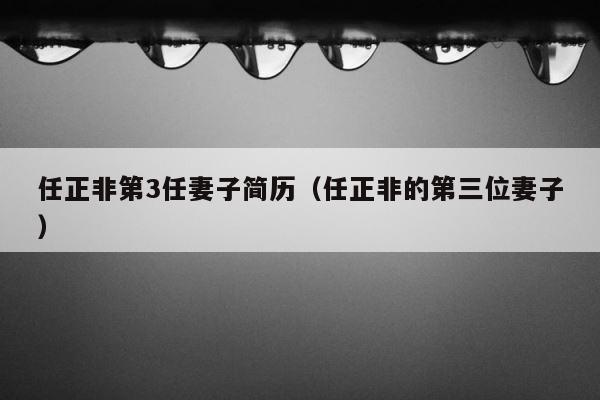任正非第3任妻子简历（任正非的第三位妻子） 第1张