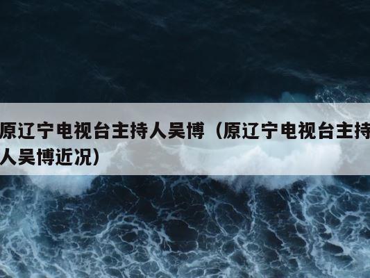原辽宁电视台主持人吴博（原辽宁电视台主持人吴博近况） 第1张