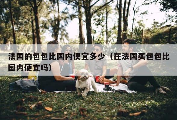 法国的包包比国内便宜多少（在法国买包包比国内便宜吗） 第1张