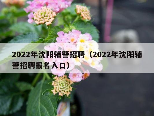 2022年沈阳辅警招聘（2022年沈阳辅警招聘报名入口） 第1张