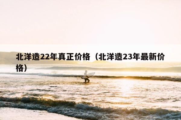 北洋造22年真正价格（北洋造23年最新价格） 第1张
