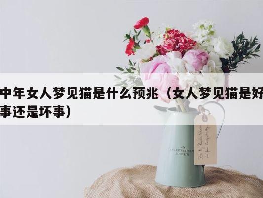 中年女人梦见猫是什么预兆（女人梦见猫是好事还是坏事） 第1张
