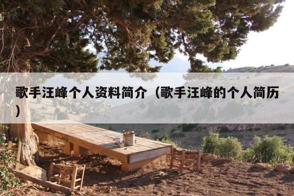 歌手汪峰个人资料简介（歌手汪峰的个人简历） 第1张
