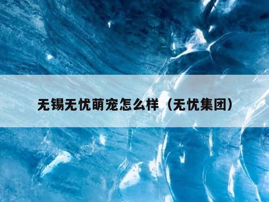 无锡无忧萌宠怎么样（无忧集团） 第1张