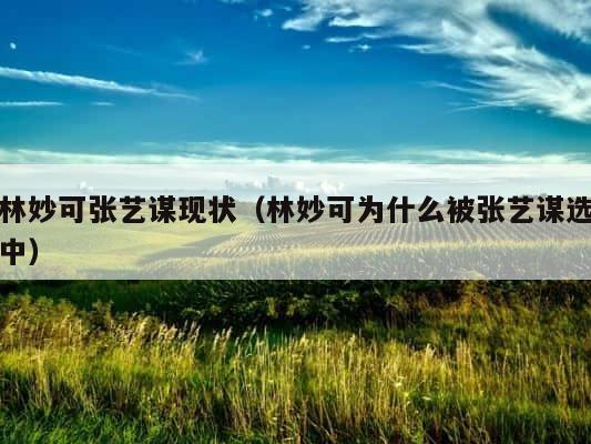 林妙可张艺谋现状（林妙可为什么被张艺谋选中） 第1张
