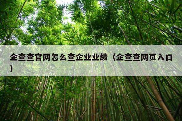 企查查官网怎么查企业业绩（企查查网页入口） 第1张