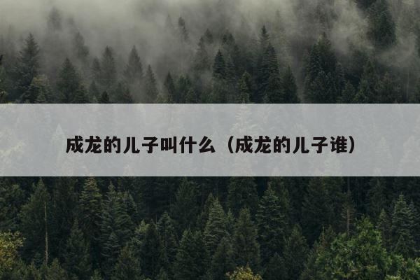 成龙的儿子叫什么（成龙的儿子谁） 第1张