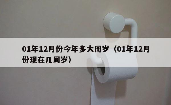 01年12月份今年多大周岁（01年12月份现在几周岁） 第1张