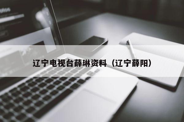 辽宁电视台薛琳资料（辽宁薛阳） 第1张