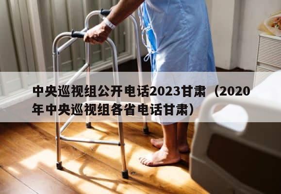 中央巡视组公开电话2023甘肃（2020年中央巡视组各省电话甘肃） 第1张