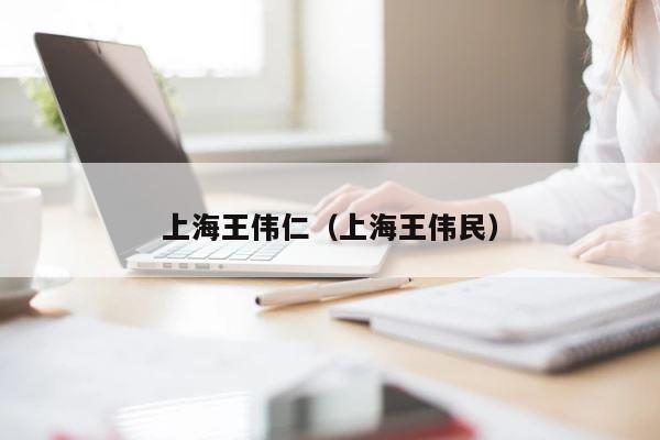上海王伟仁（上海王伟民） 第1张