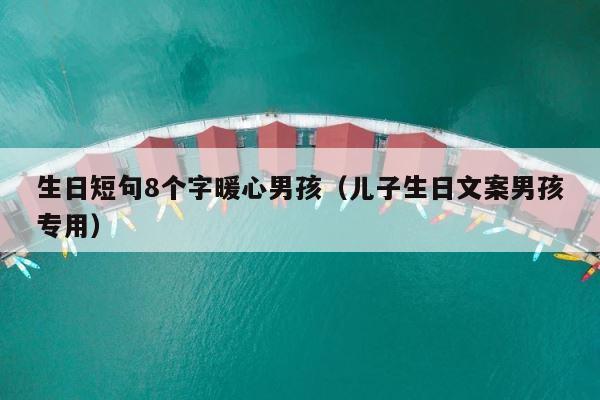 生日短句8个字暖心男孩（儿子生日文案男孩专用） 第1张