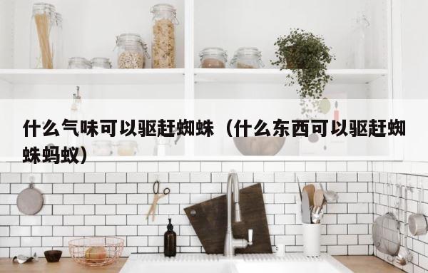 什么气味可以驱赶蜘蛛（什么东西可以驱赶蜘蛛蚂蚁） 第1张