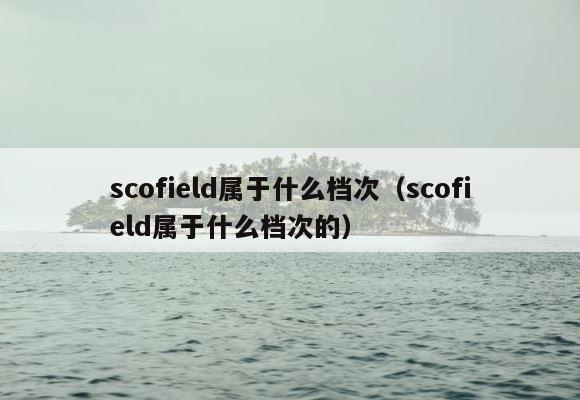 scofield属于什么档次（scofield属于什么档次的） 第1张
