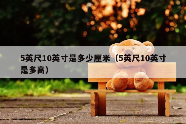 5英尺10英寸是多少厘米（5英尺10英寸是多高） 第1张