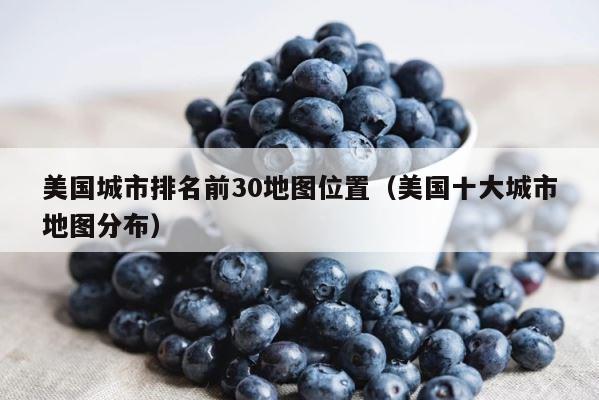 美国城市排名前30地图位置（美国十大城市地图分布） 第1张