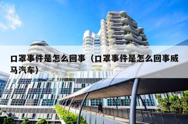 口罩事件是怎么回事（口罩事件是怎么回事威马汽车） 第1张